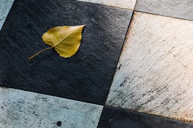 Problèmes Courants de Carrelage : Guide Complet